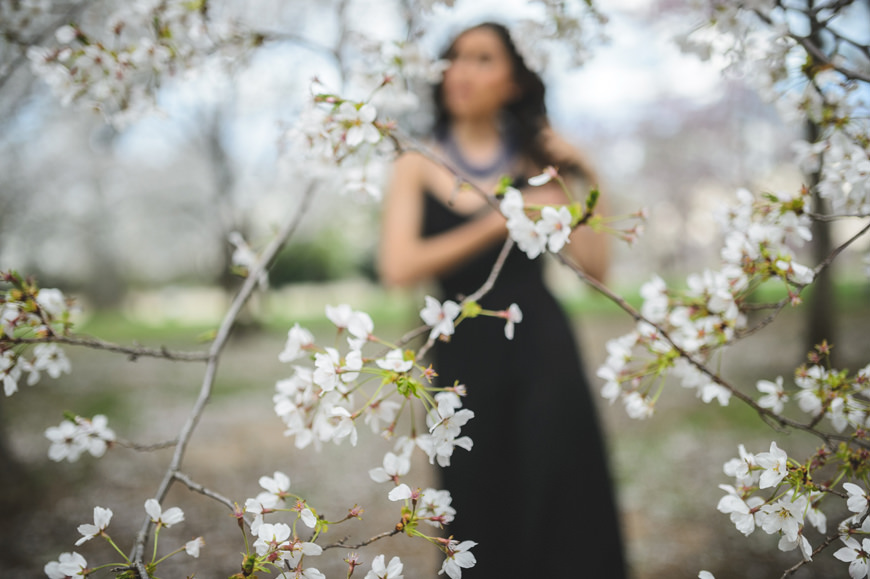 002 backfocus cherry blossom portrait